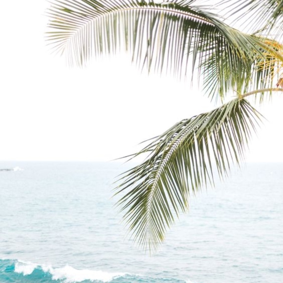 Meet your Posher, Anni - Picture 1 of 1